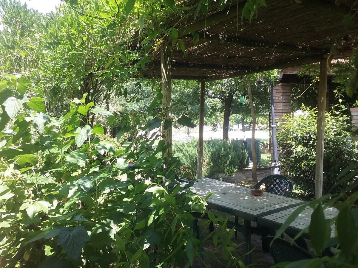 Agriturismo Dolce Verde Кастильоне-дель-Лаго Экстерьер фото